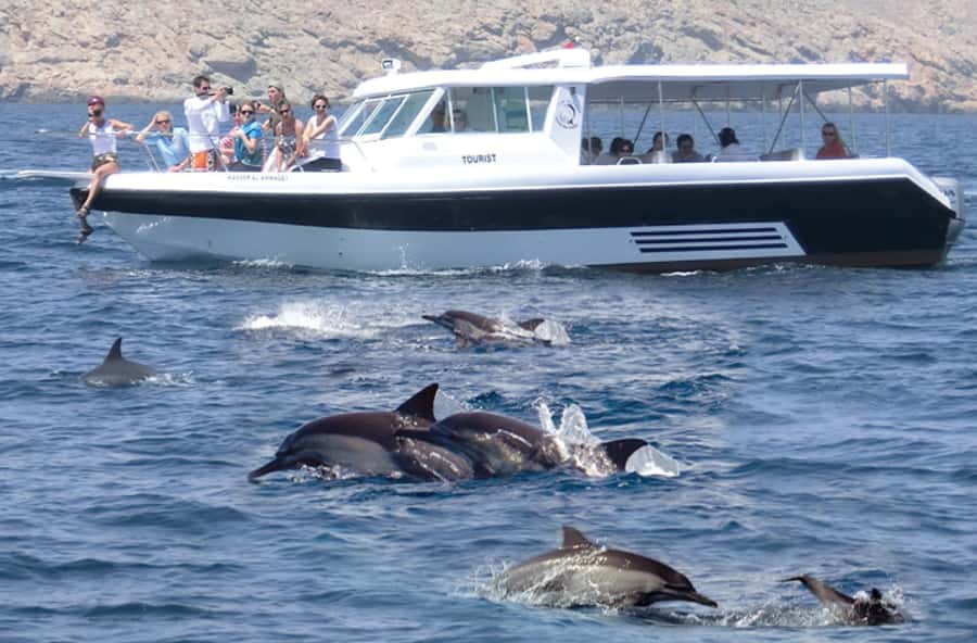 From Muscat: Discover Dolphins Day Trip - Why the Two Departure Times Matter