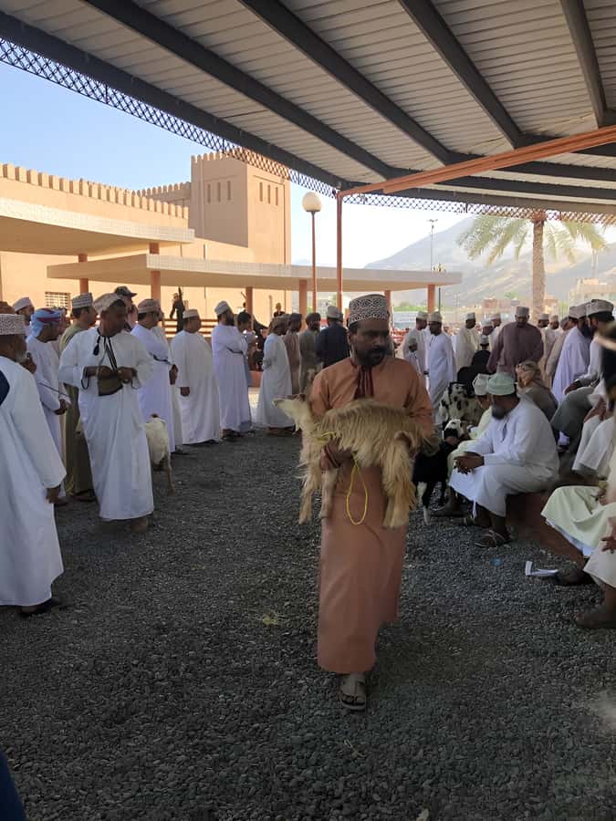 From Muscat: Nizwa and Oman's Historical Gems Tour - Option three: Nizwa Fort and Oman Across Ages Museum