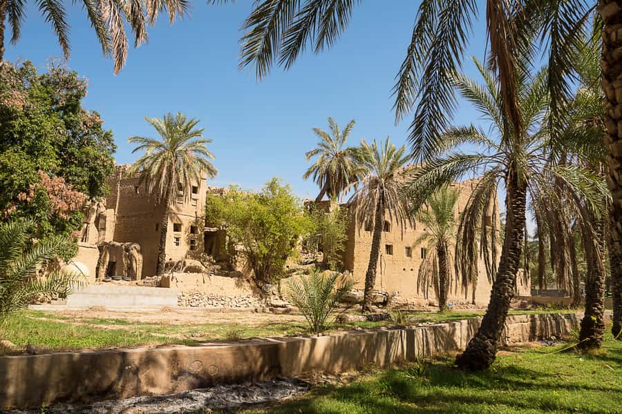 From Muscat: Nizwa and Oman's Historical Gems Tour - The drive, lunch, and guide make the difference