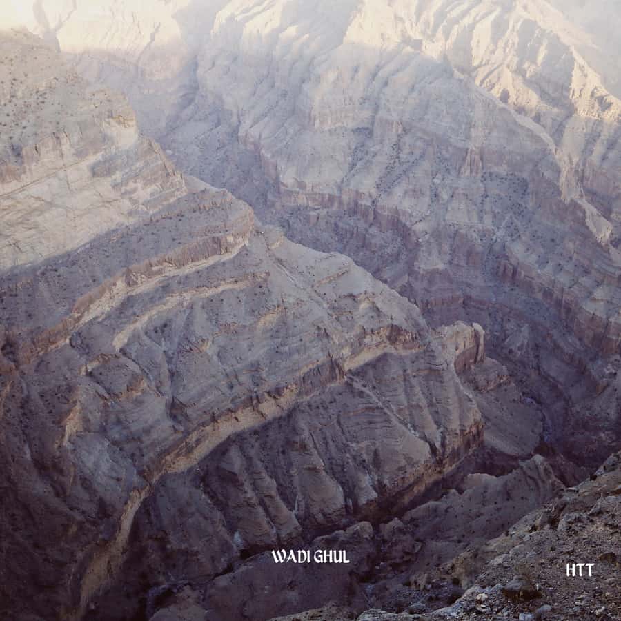 From Muscat: Nizwa Day Trip with Grand Canyon - What the guide adds to the day