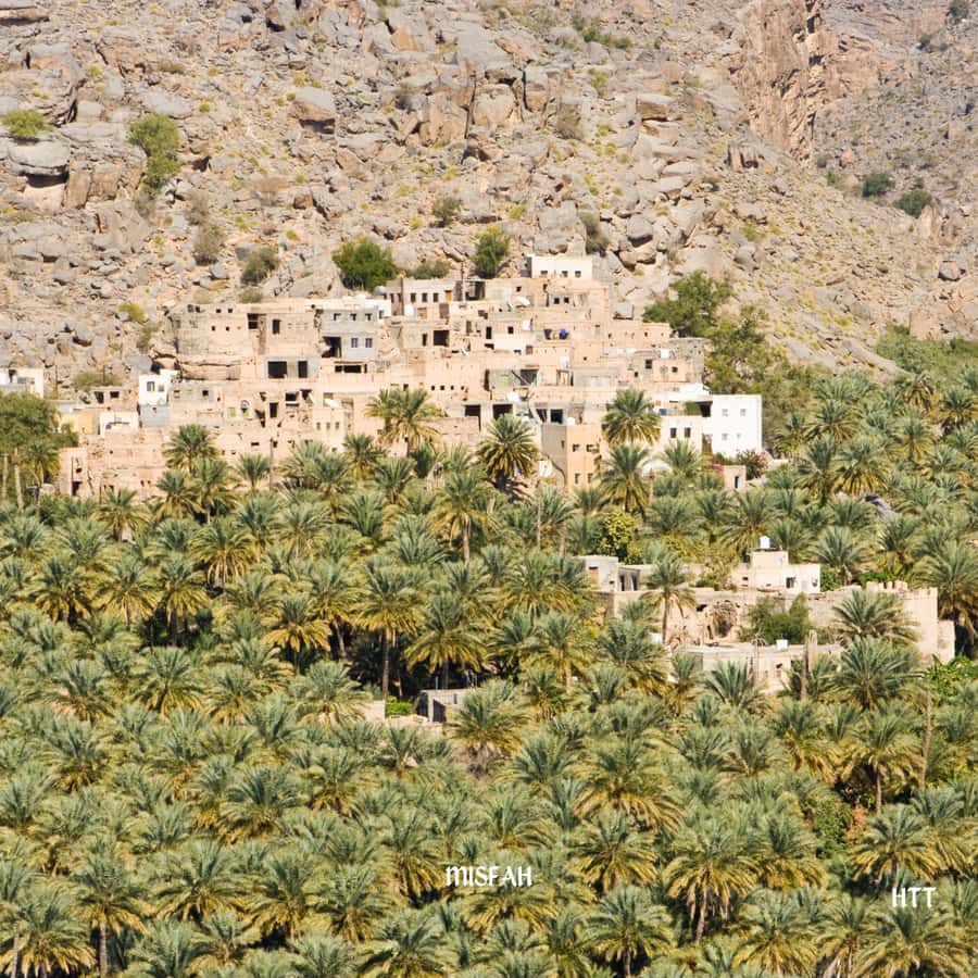From Muscat: Nizwa Day Trip with Grand Canyon - Who will enjoy this tour most?