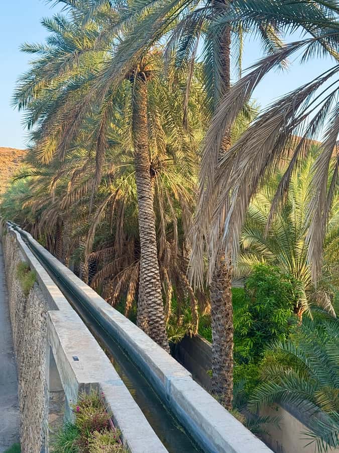 From Muscat: Nizwa Fort, Souq, falaj & Museum Full Day Tour - Why Nizwa makes a strong day trip from Muscat