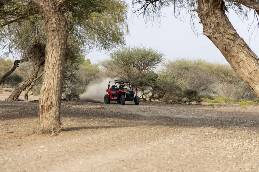 From Muscat: Self-Drive ATV Adventure in Wadi Al Rak - One hour across steep and changing ground