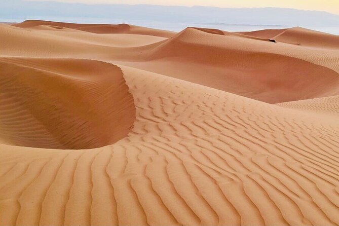 From Muscat: Wadi Hawar and Wahiba Sands Desert Tour - The private format adds useful value