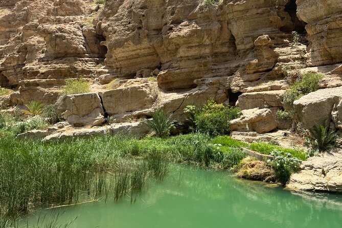 From Muscat Wadi Shab and Bimmah Sinkhole Tour - Guide support and group size