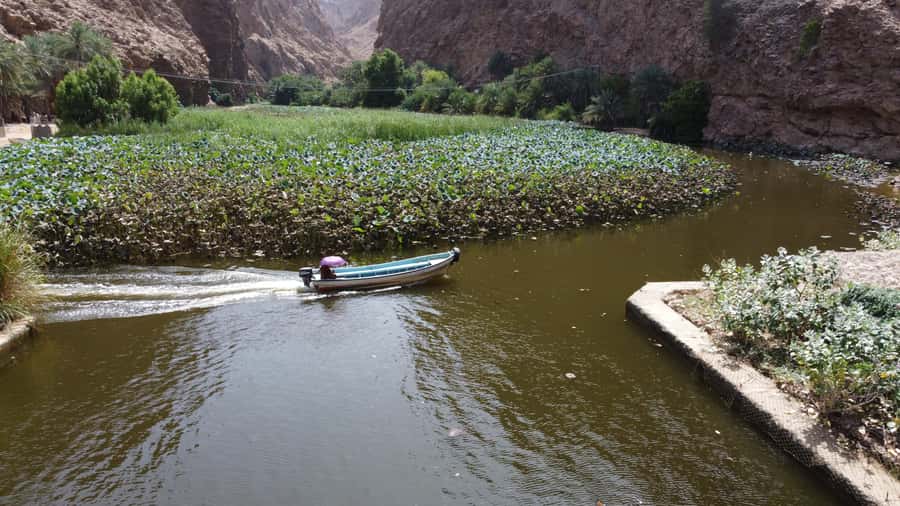 From Muscat: Wadi Shab & Bimmah Sinkhole Full-Day Tour - Should you book the Wadi Shab and Bimmah Sinkhole tour?
