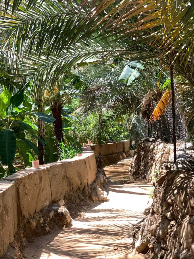 From Muscat: Wadi Shab & Sinkhole Private Tour & Free Lunch - Why Wadi Shab is worth the effort