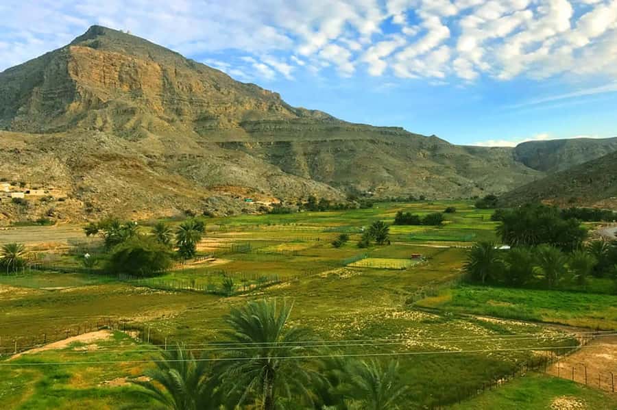 From Ras Al Khaima : Dolphin Watching and Jabal Harim Safari - Sayah Village and the Human Side of the Mountains