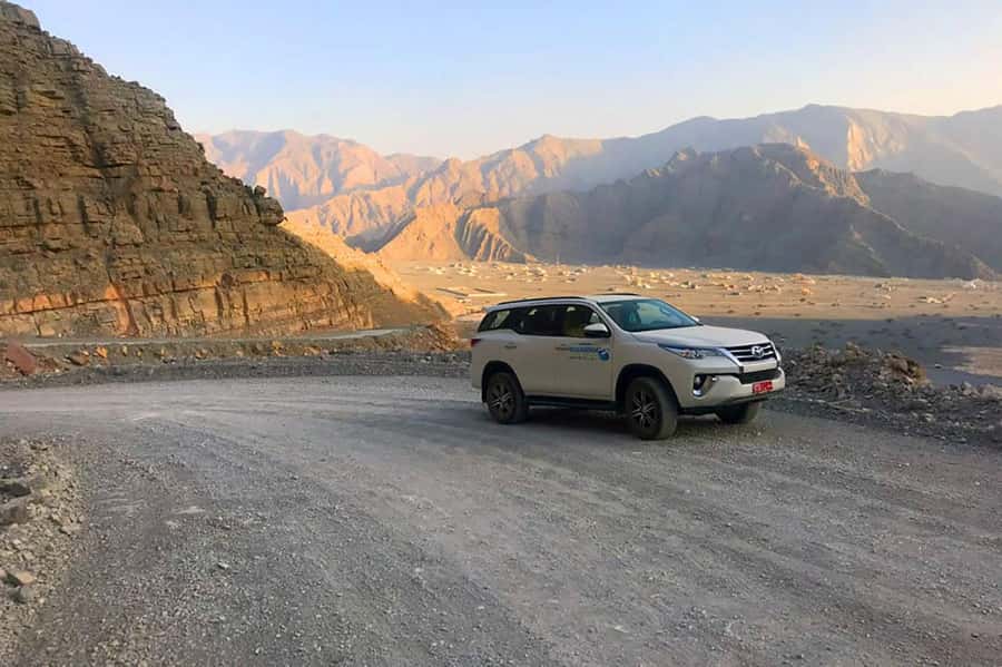 From Ras Al Khaima : Dolphin Watching and Jabal Harim Safari - Timing, Weather, and What to Pack