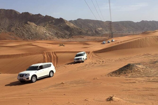 Full-Day Desert Safari Jeep Tour in Ash Sharqiyah Governorate - Entering Wahiba Sands around 10:30 am