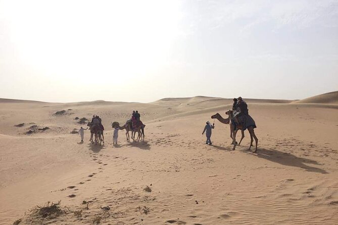 Full-Day Desert Safari Jeep Tour in Ash Sharqiyah Governorate - What the $139 price means