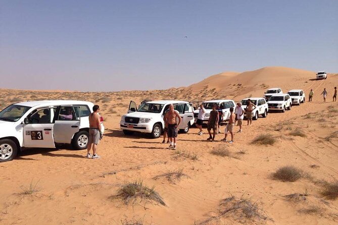 Full-Day Desert Safari Jeep Tour in Ash Sharqiyah Governorate - The guide can make or break the day