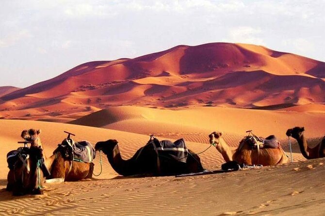 Full-Day Desert Safari Jeep Tour in Ash Sharqiyah Governorate - Comfort, clothing, and what to pack