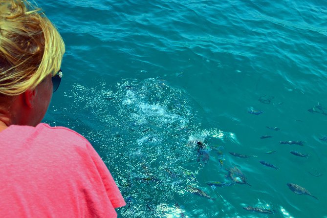 Full Day Dhow Cruise to Khor Sham with lunch & Snorkeling (Shore excursions) - Telegraph Island and the appeal of a real swimming stop