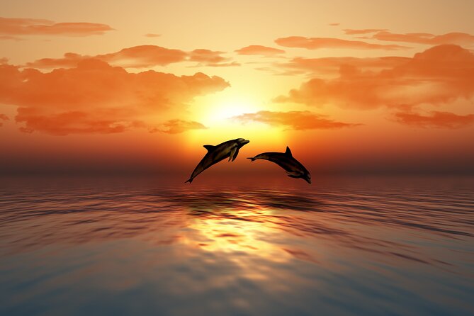 Full day Dhow: Khasab, Musandam: Dolphins, Snorkeling & Fjords - Seebi Island, beaches, and time to relax