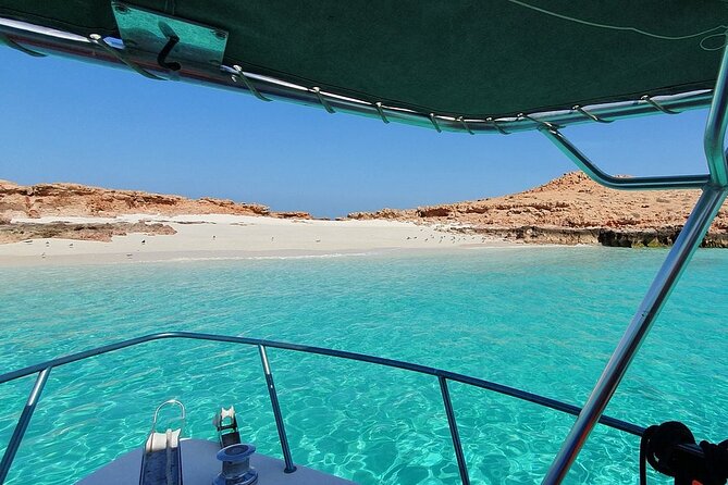Full Day Dimaniyat Island Excursion - Dolphins, whales, and the limits of wildlife watching