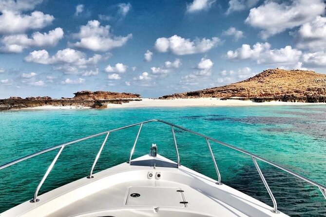 Full Day Dimaniyat Island Excursion - White sand, swimming, and coastal views