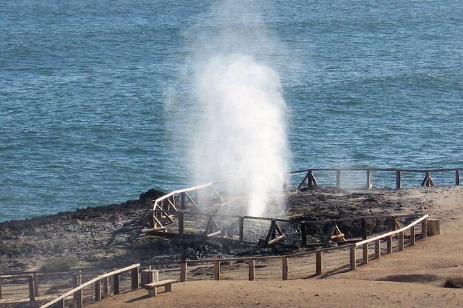 Full Day Guided Salalah a Combination of East and West tour - Coconut farms add a taste of Dhofar