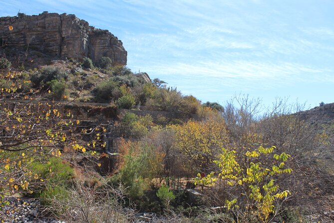 Full-Day Guided Tour to Jebel Akhdar - Al Aqar, Alshariga, and Saiq are best seen slowly