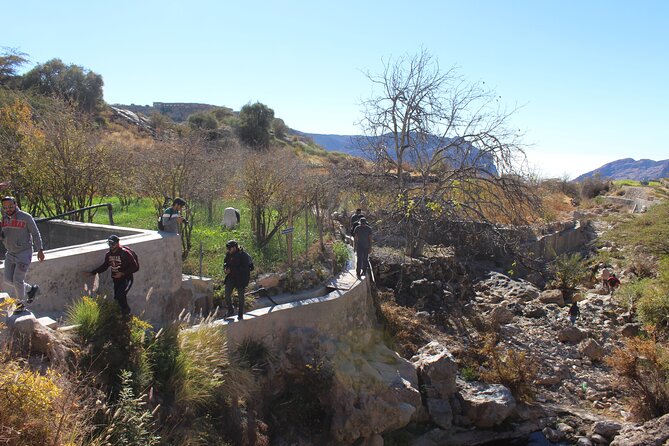 Full-Day Guided Tour to Jebel Akhdar - Seasonal farms change the final stop