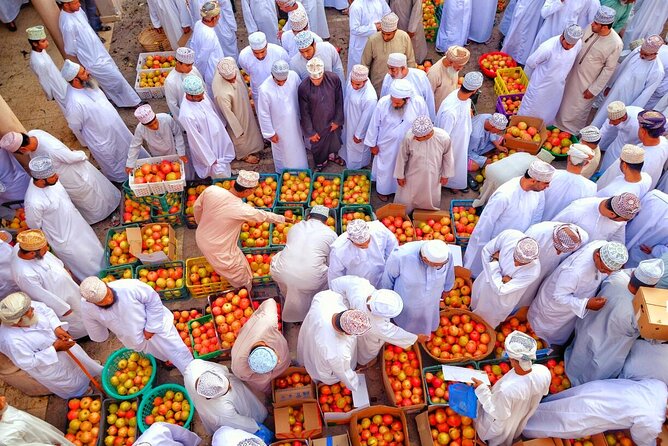 Full-Day Nizwa Fort, Bahla Fort and Jabreen Castle Private Tour - Who should choose this Oman history tour?