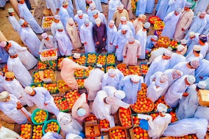 Full Day Private Historical Tour from Muscat to Nizwa Region - Timing, food, and practical comfort