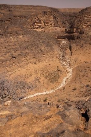 Full-Day Private Salalah West Tour with Lunch - Key points to know before booking