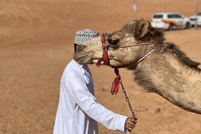 Full-Day Private Tour of Wahiba Sands Desert and Wadi Bani Khalid - Lunch, drinks, and the real value of $179