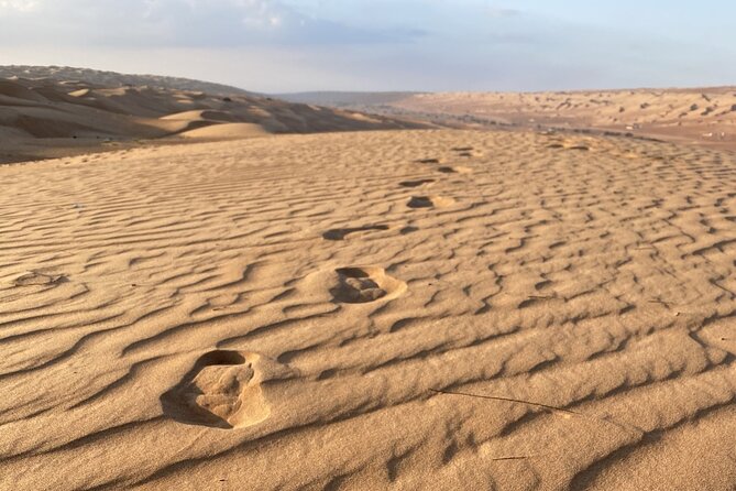 Full-Day Private Tour of Wahiba Sands Desert and Wadi Bani Khalid - What the schedule does well, and where it feels tight
