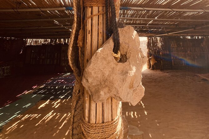Full-Day Private Tour of Wahiba Sands Desert and Wadi Bani Khalid - Who will get the most from this day