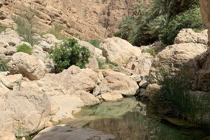 Full Day Private Tour to Wadi Shab and Bimmah Sinkhole - Guides who make the rough parts easier