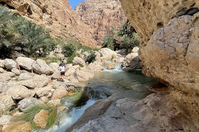 Full Day Private Tour to Wadi Shab and Bimmah Sinkhole - Who should book this Wadi Shab tour?