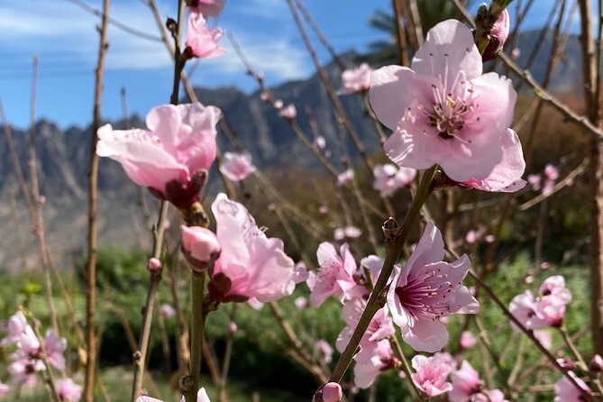 Full Day Tour from Wakan to Jebel Akhdar Trekking - Who will get the most from this day