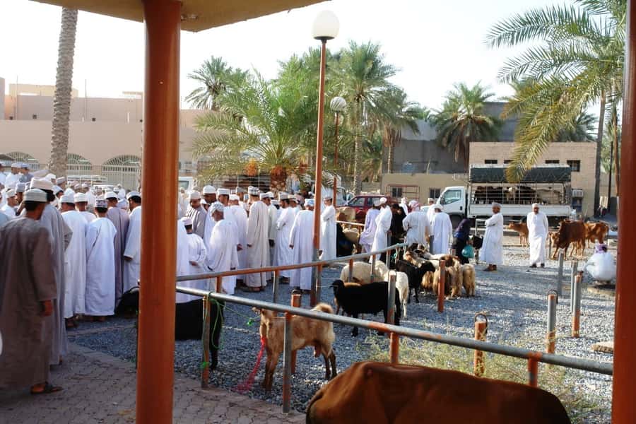 Full-Day Tour in Oman: Enchanting Forts of Nizwa and Jabreen - Key points to know before booking