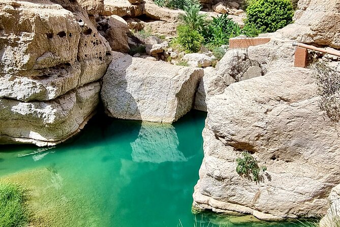 Full Day Tour in Wadi Shab - Guides and the private-tour format