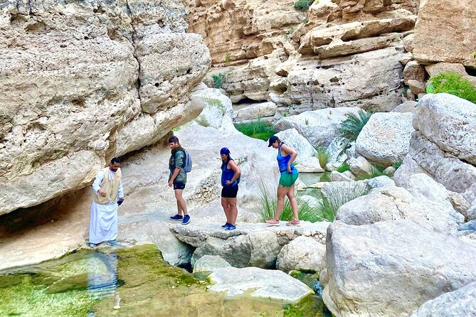 Full Day Tour in Wadi Shab - Is $236 a fair price?