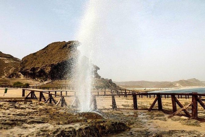Full day west tour of Salalah - Frankincense trees and flower honeybees