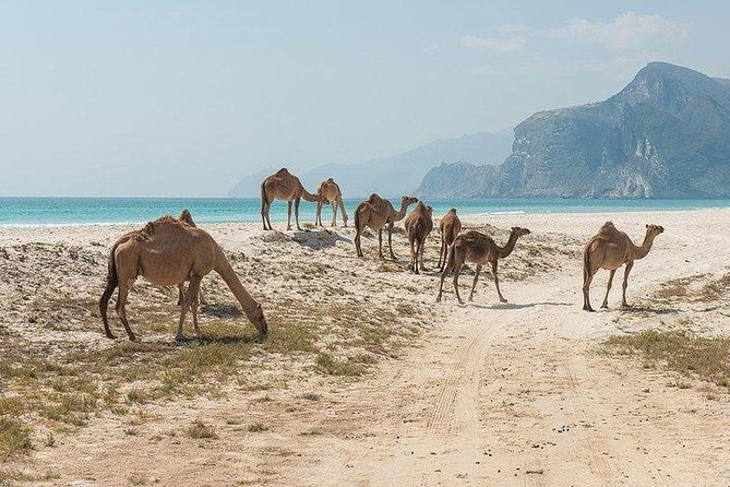 Full day west tour of Salalah - Who will get the most from this tour