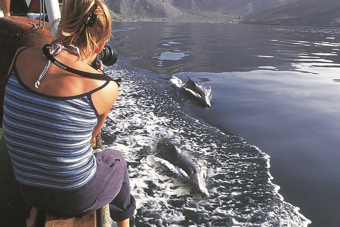 Half Day Dolphin Watching Musandam Dhow Cruise - Who will enjoy this dhow cruise most
