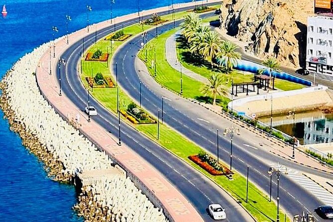 Half-Day Private Guided Muscat City Sightseeing Tour - Who should book this four-hour Muscat outing