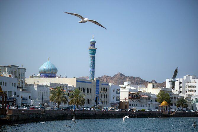 Half-Day Private Muscat City Tour 4 Hours - Timing, Cost, and Who Gets the Most Value