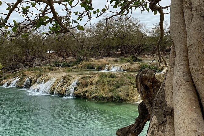 Half-Day Private Salalah East Tour - Why this eastern Salalah route works so well
