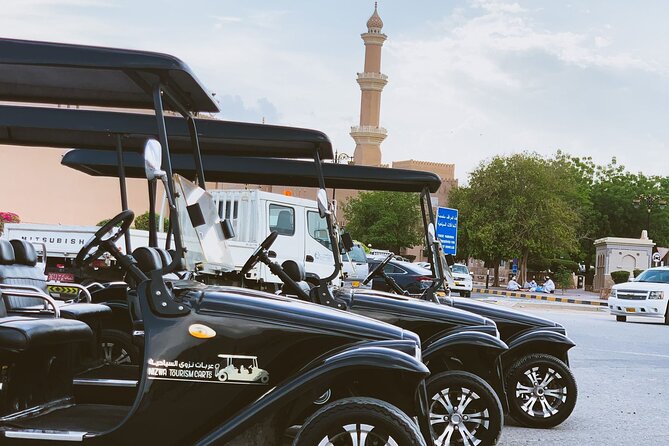Heritage private Tour by classic carts - Starting at Nizwa Fort without going inside