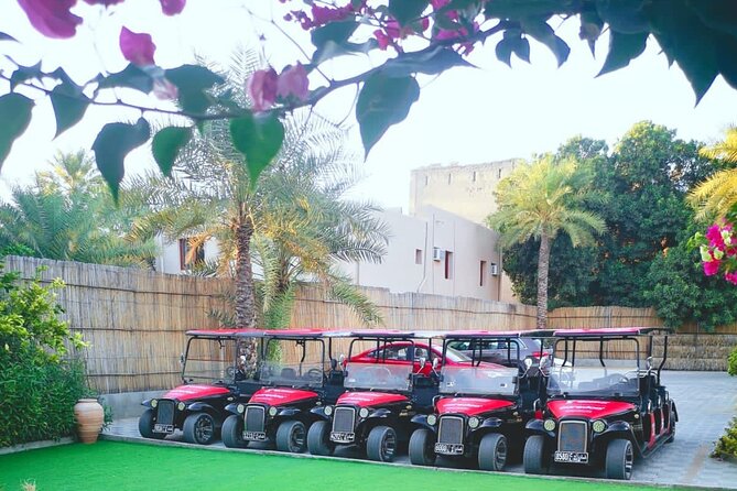 Heritage private Tour by classic carts - Al Aqr Wall and the old water channels