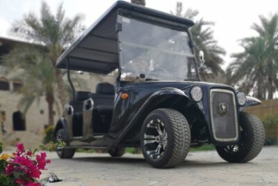Heritage private Tour by classic carts