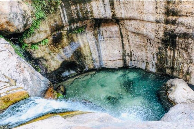 Hidden Gems of Oman: Sinkhole, Fins Beach & Wadi Tiwi Adventure - Why Wadi Tiwi is the heart of this Oman day trip