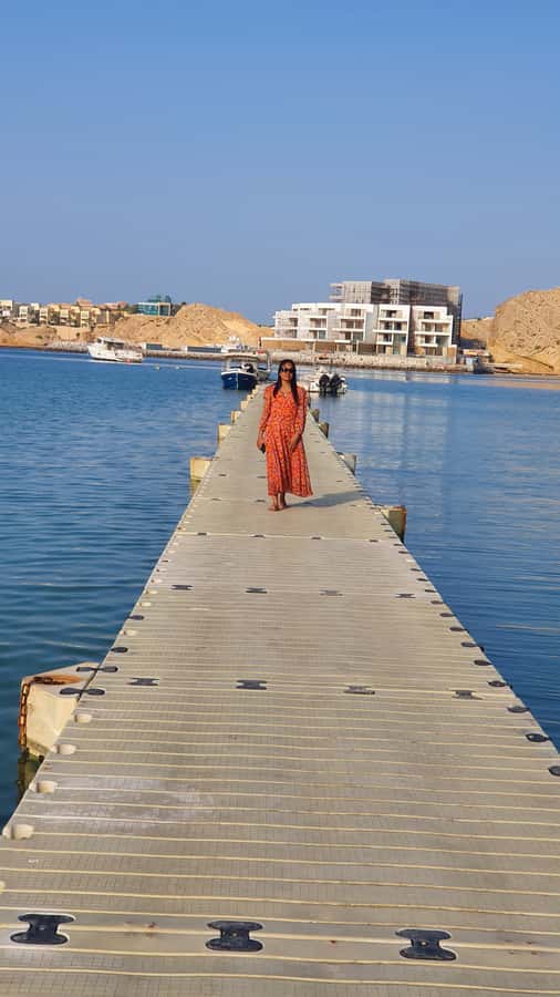 Highlights of Muscat city tour in private car with guide - Al Alam Palace and the photo stop