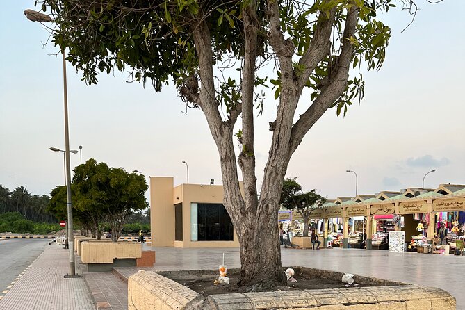 Historical Salalah City Tour - Al Baleed and the Museum of the Land of Frankincense
