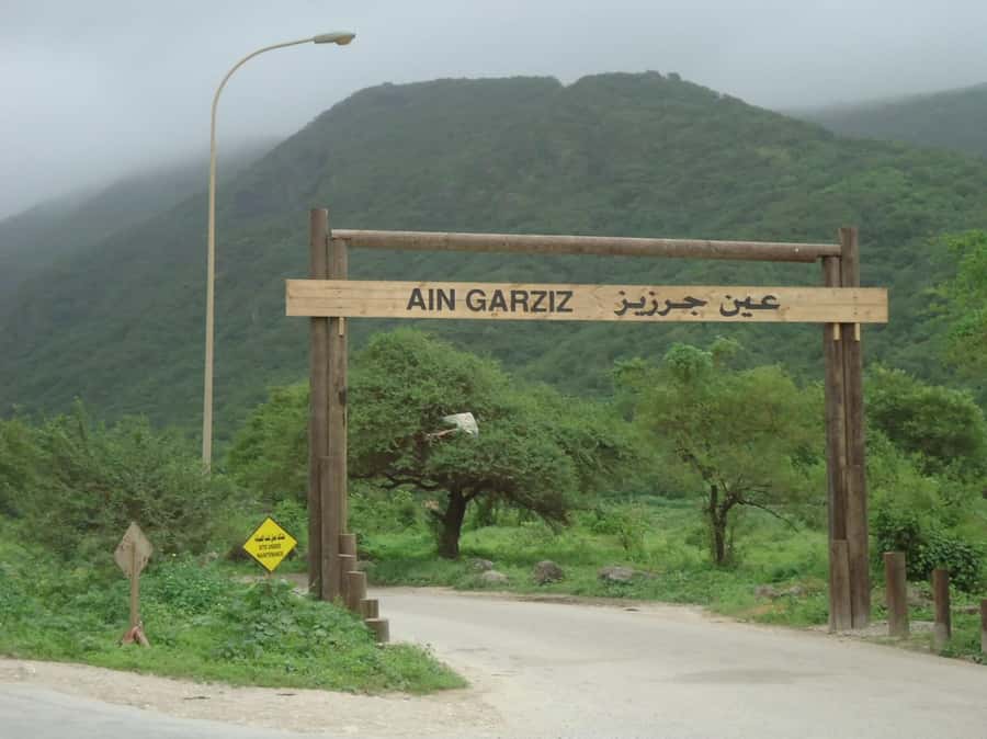 Historical Salalah City Tour with Culture, Food & Shopping - Haffa Souq and the scent of frankincense