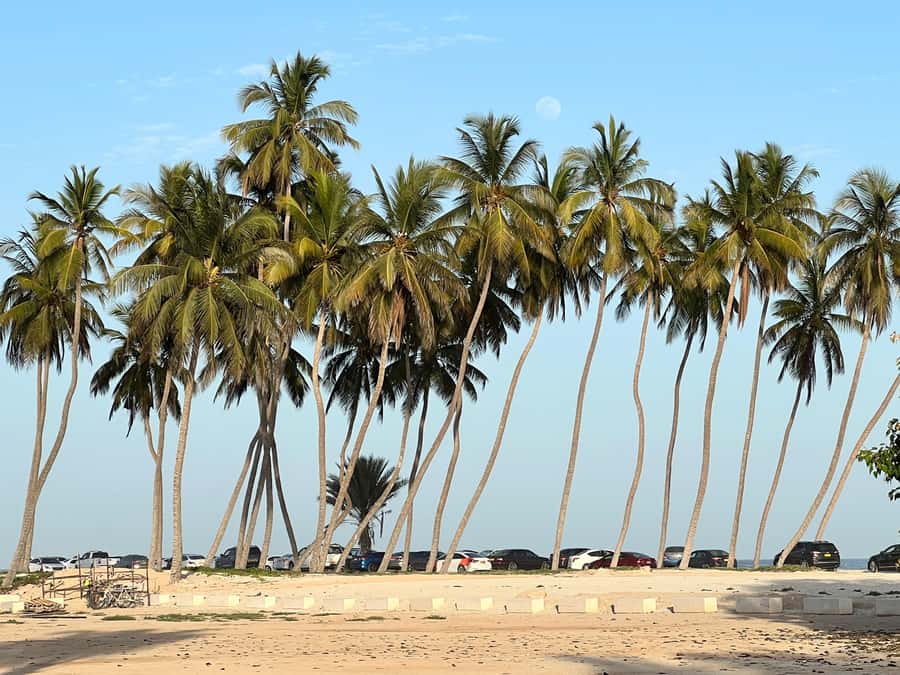 Historical Salalah City Tour with Culture, Food & Shopping - Starting at Sultan Qaboos Mosque